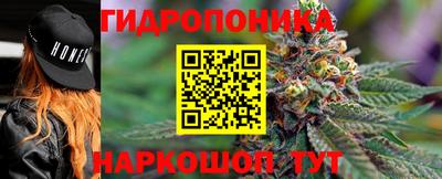 jwh Кинель