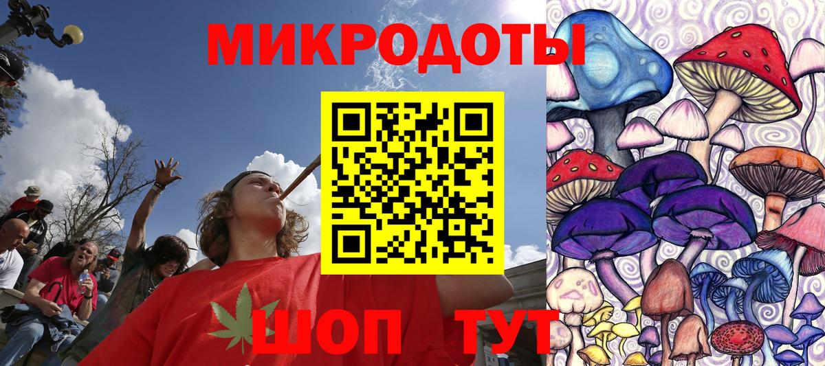 Коряжма  Галлюциногенные грибы мухоморы  Вход с VPN 